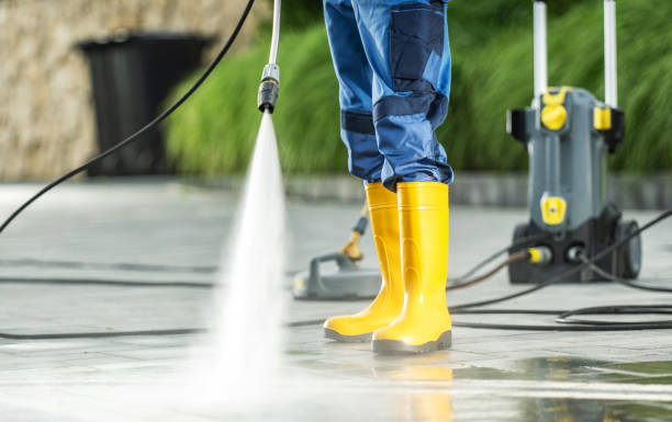 Best Exterior Home Cleaning  in Atwood, IL